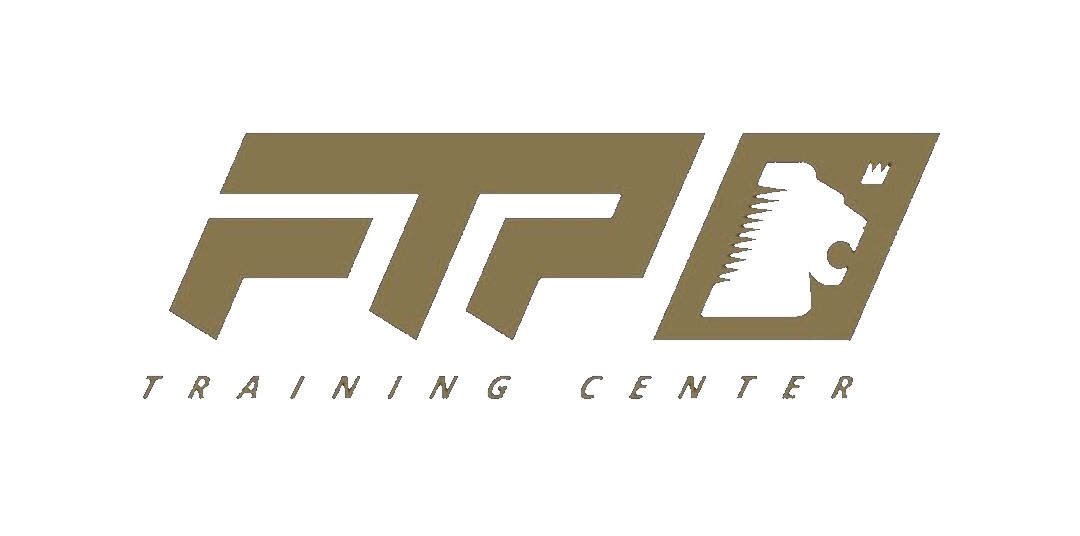 FTP white logo